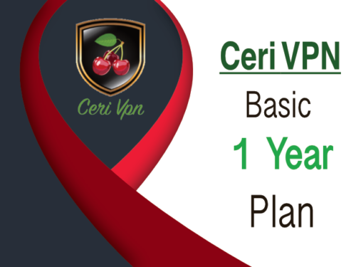 CeriVPN-Basic Plan-One Year- General IP
